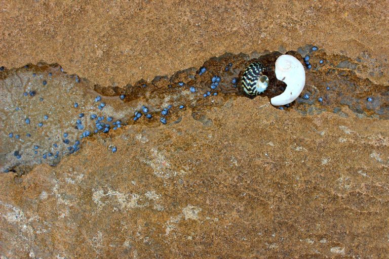 yin yang in the rocks 768x512