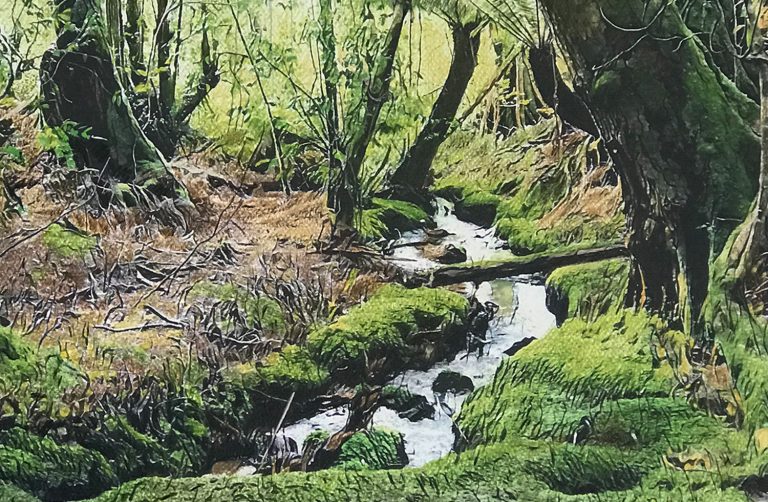 SPRING MORNING RALPHS FALLS TRACK 3x2 768x502