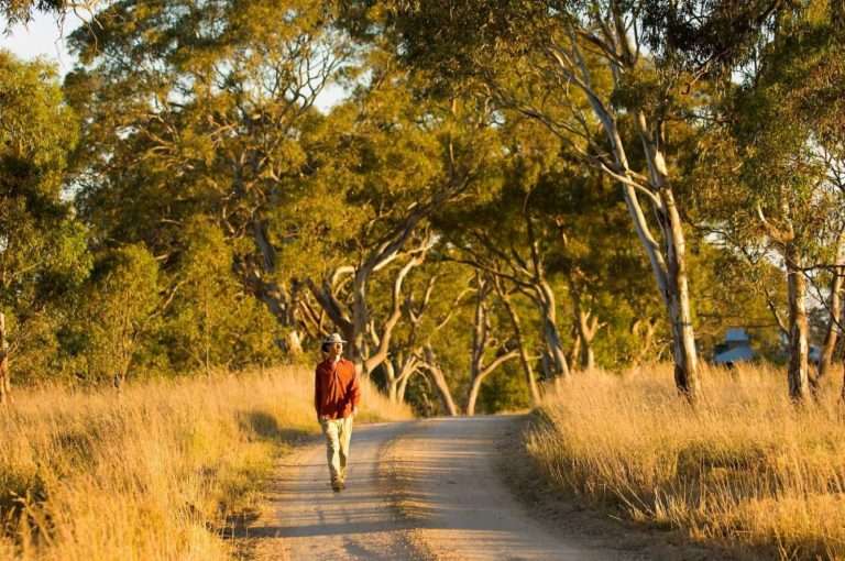 john walking 133 small3 1 768x510