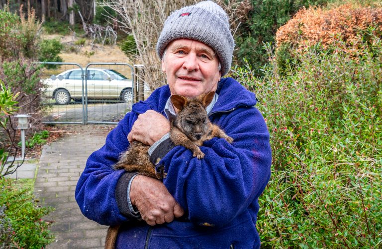 pademelon 3x2 768x502