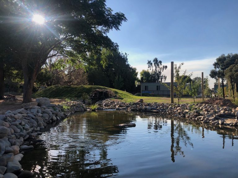 Back Pond Smaller size 2 768x576