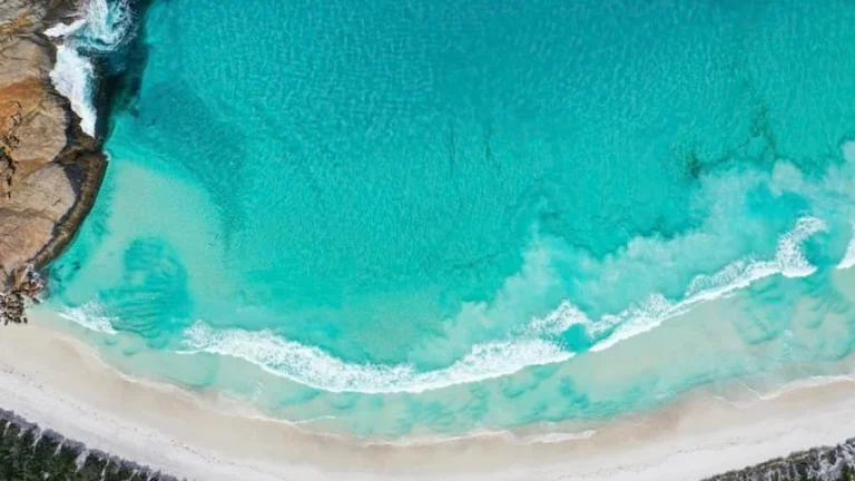 7cd2b91d588779be6202d155eca64906 768x432