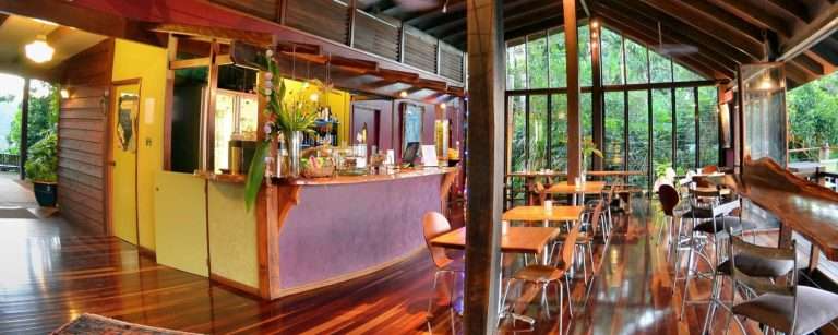 8b2c0169689fdb4e5f103317cc1bc675 rainforestbar 2000 800 c1 768x307