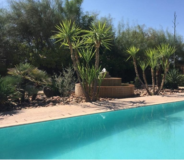 20200131 122055 768x669