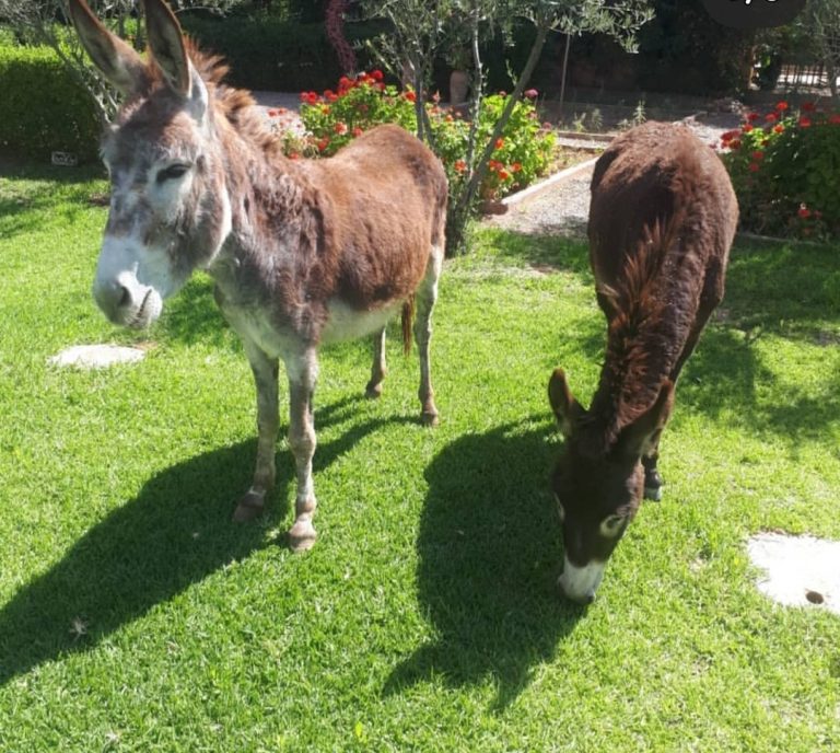 20200131 122113 768x688