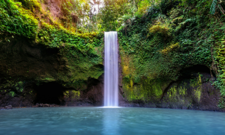 Is it time for a retreat in Bali?