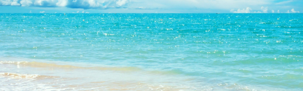 User banner image