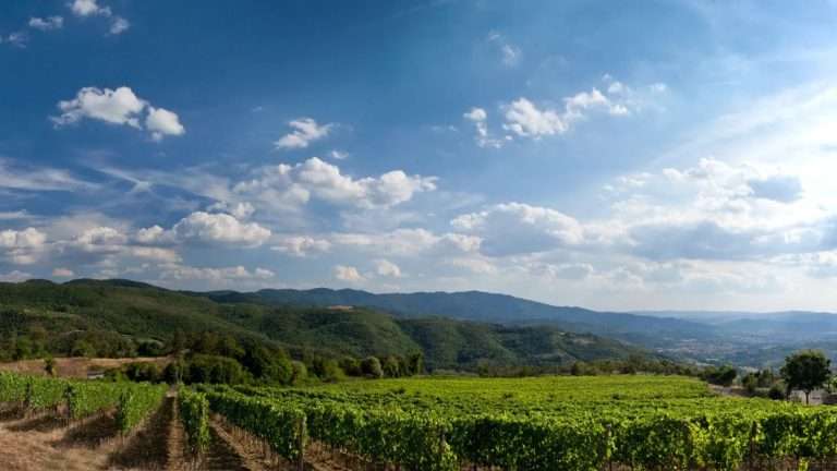 OldWorldItalianInGiro2024 768x432