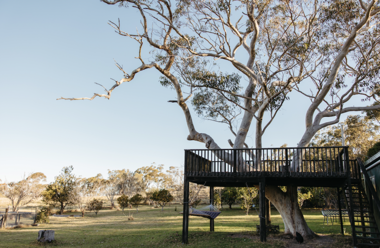 Screenshot 2023 08 29 at 5.24.03 PM 768x501