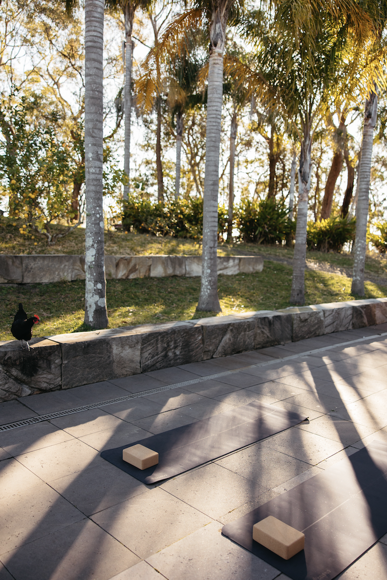 Screenshot 2023 08 29 at 5.24.41 PM