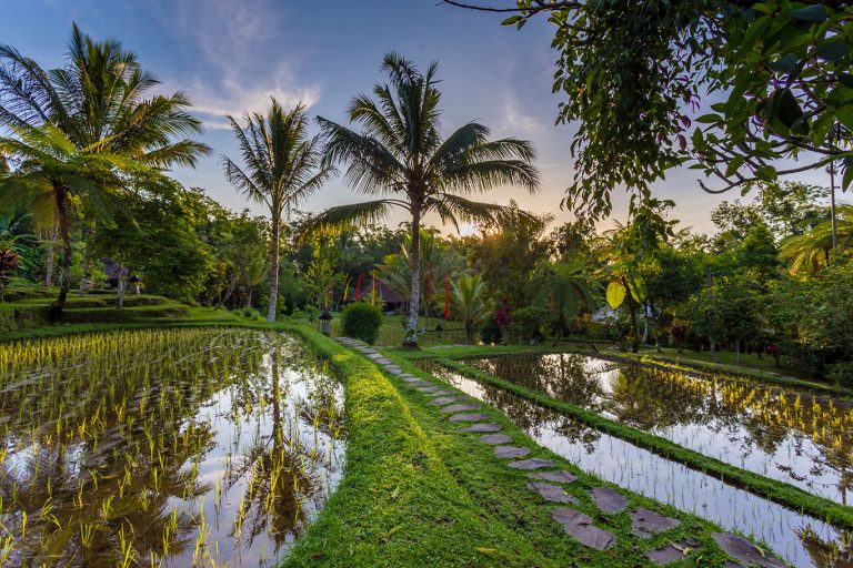 IMG 7717 HDR 768x512