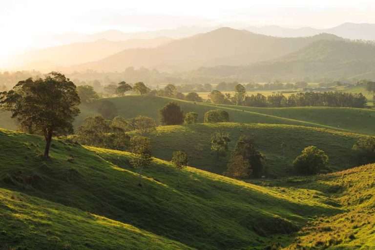 Valley scene The Tweed Sam Brincat 768x512