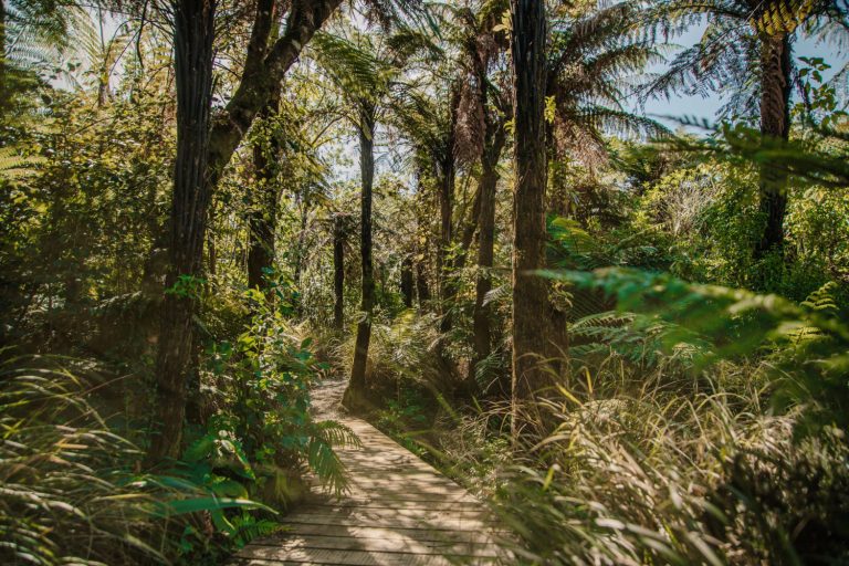 Arete Retreat Venue New Zealand 3 768x512