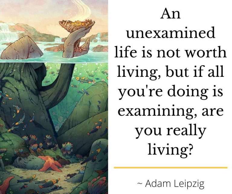 self discovery retreat 768x644