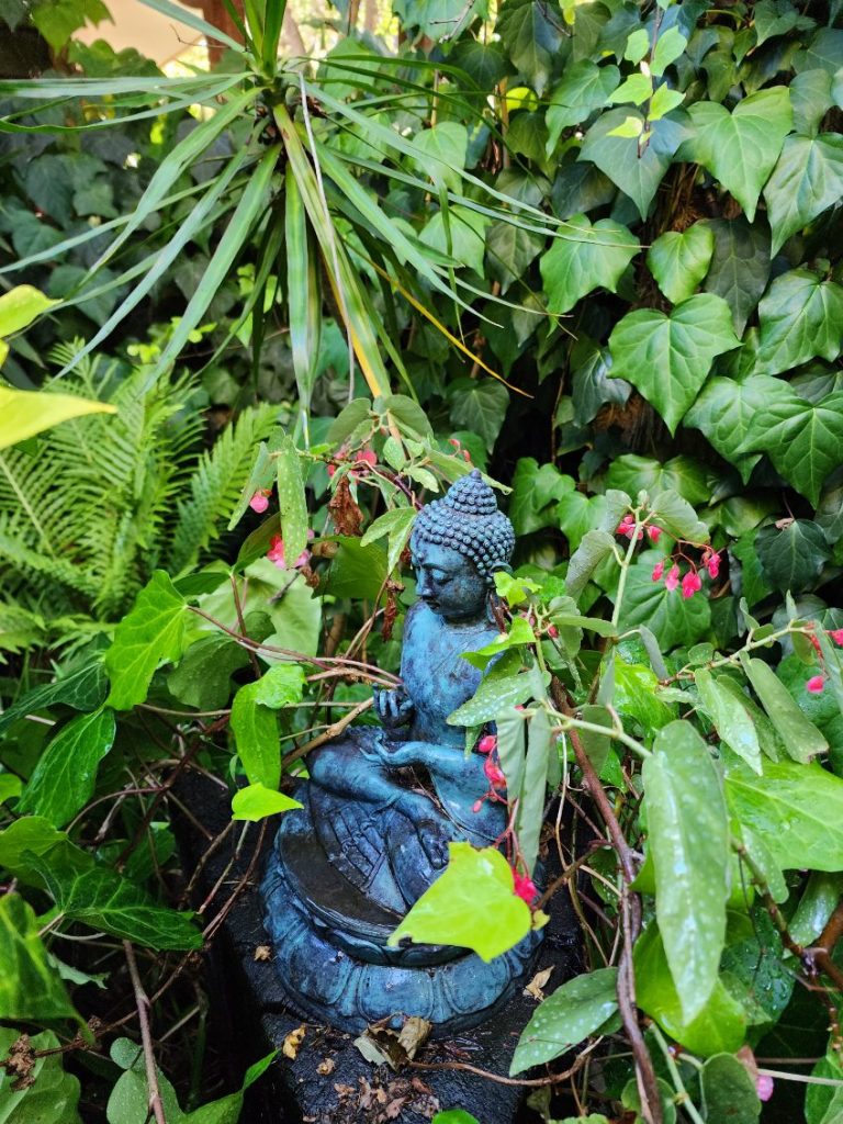 image000000 768x1024