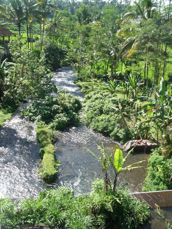 07 Bali2006 146 e1597364189163