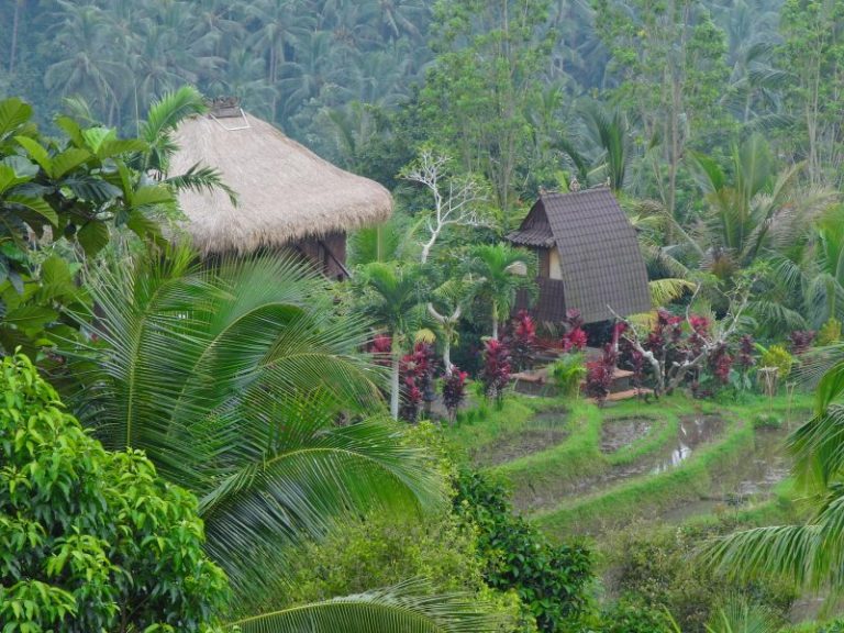 12 CIMG1971 e1597364132708 768x576