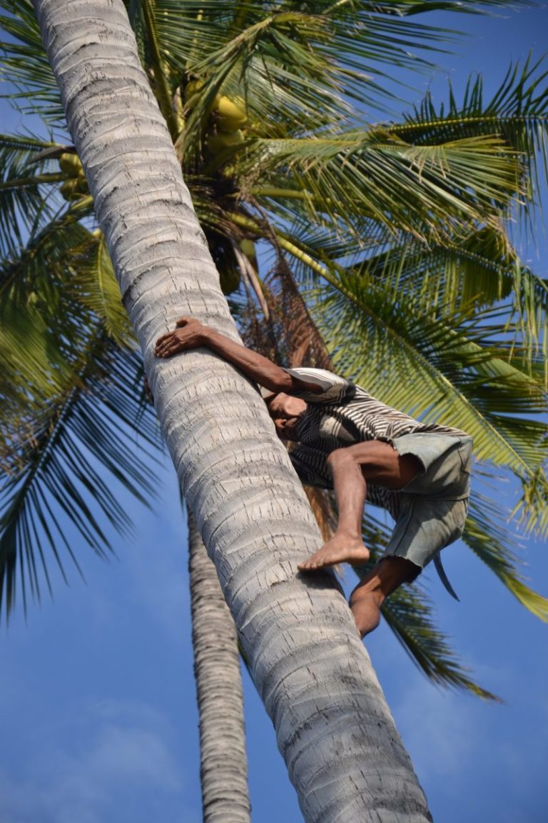 18 DSC 0109 e1597364117719 768x1152