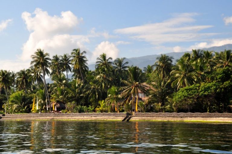 22 DSC 0256 e1597364103843 768x511