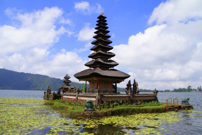 25 DSC08979 1024x685 2 768x514