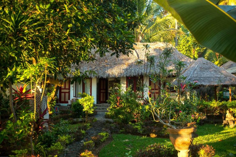 Geckohouse scaled 1 768x512