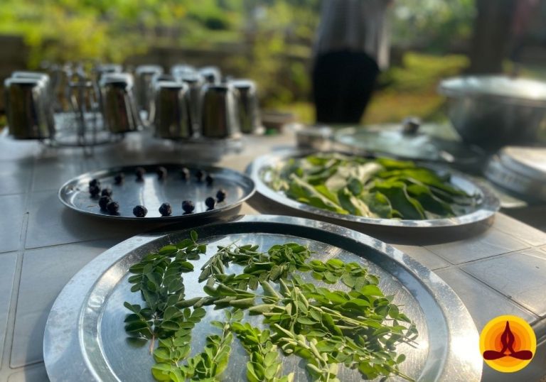 21 Day Pancha Kosha Detoxification Retreat with Yoga in Mysore KarnatakaIndia green 768x538