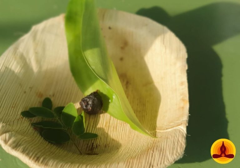 21 Day Pancha Kosha Detoxification Retreat with Yoga in Mysore KarnatakaIndia greens 768x538