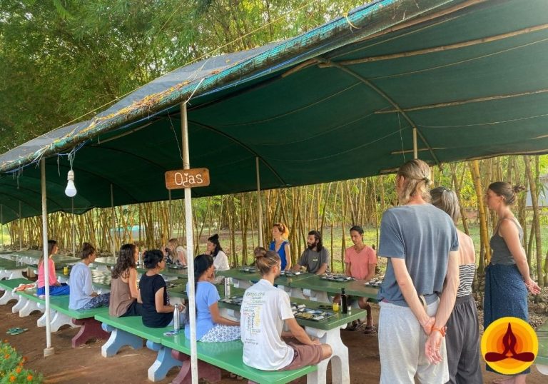 21 Day Pancha Kosha Detoxification Retreat with Yoga in Mysore KarnatakaIndia holly belly 768x538