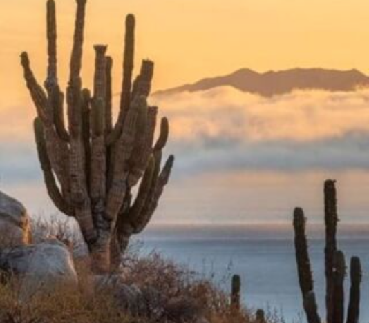 Screen Shot 2024 02 13 at 10.59.25 am