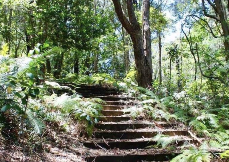 SANG rain forest stone stairs LR 768x542
