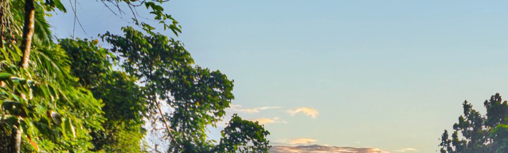 User banner image