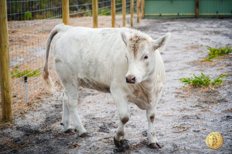 430211563 369231359402370 5005142465490117169 n 768x512