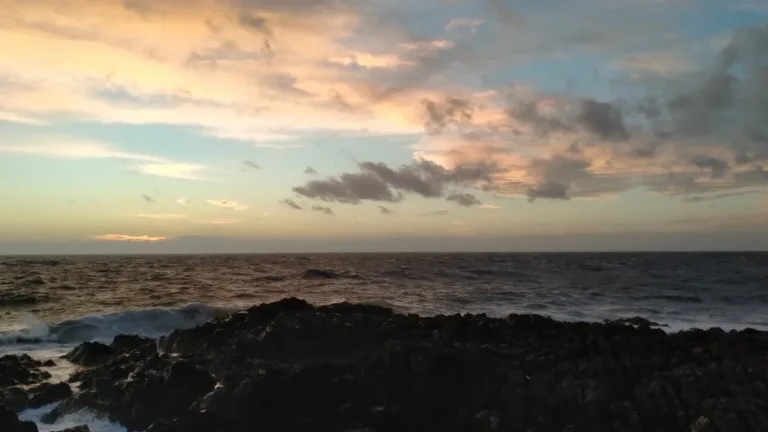 IMG 20231229 211854 834 768x432