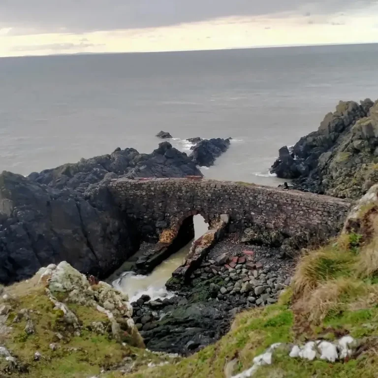 IMG 20240322 144611 400 768x768