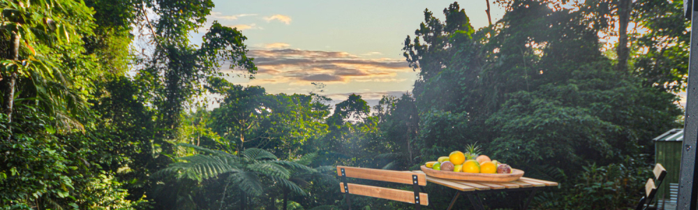 User banner image