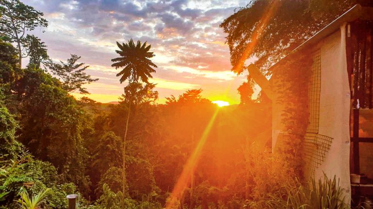 1M SUNRISE MOUNTAIN BACK DROP 768x432