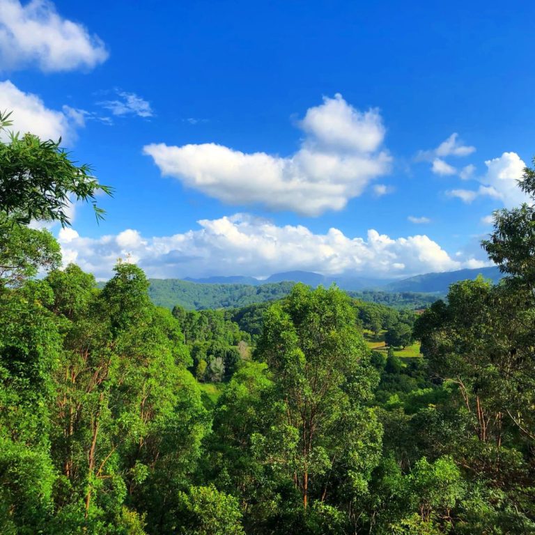 Mt Warning view 768x768