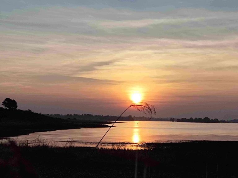 IMG 20240126 072604 768x576