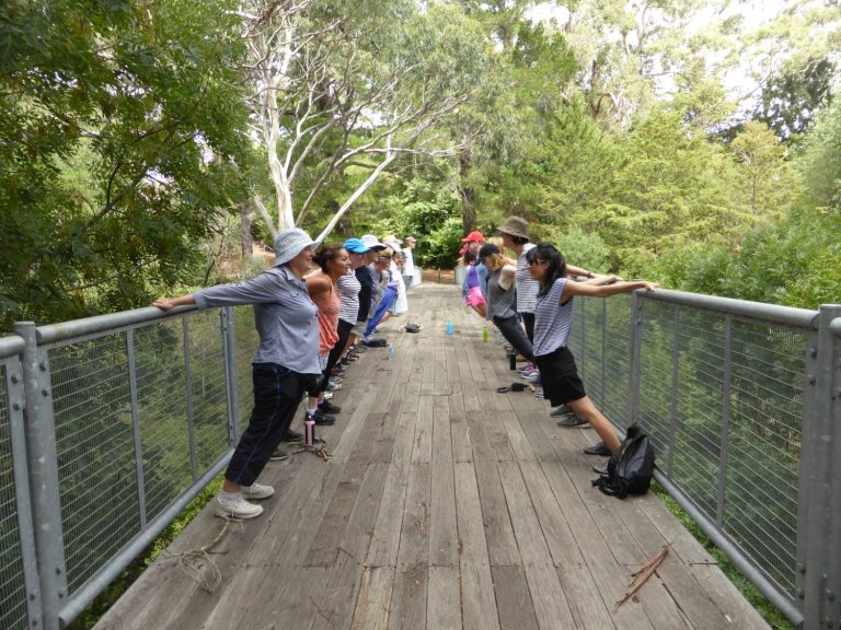 432456383 916559933805417 4802927237042346892 n 768x576