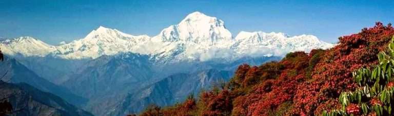 ghorepani poon hill trekking 1 768x227