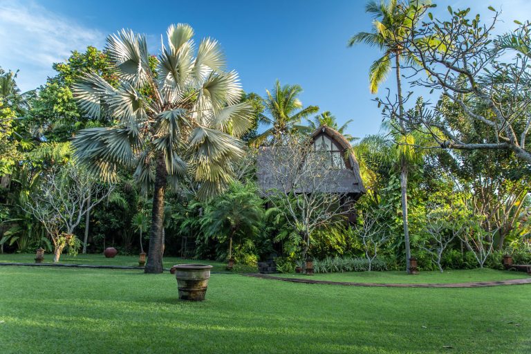 Bali Purnati 1 15 768x512