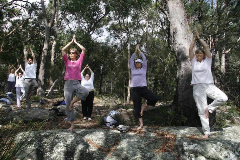 Kincumber yoga in trees 2016 768x512