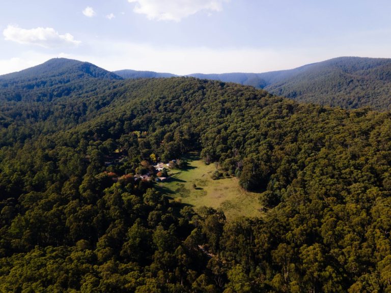 bush hills DJI 0239 2048x1536 1 768x576