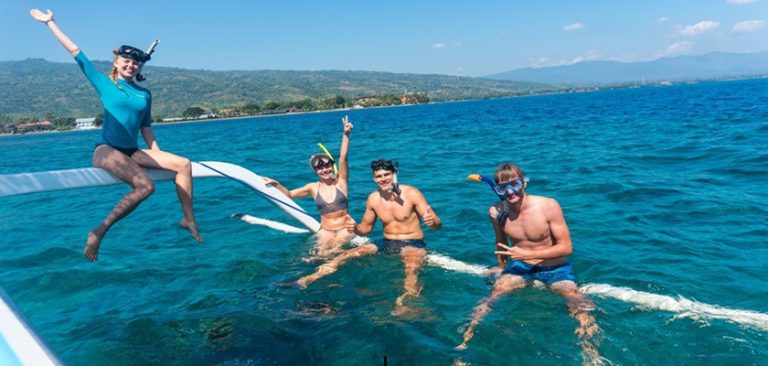 dolphin 840x400 1 768x366