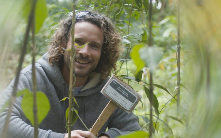 09 wanay community ayahuasca retreat center 768x482