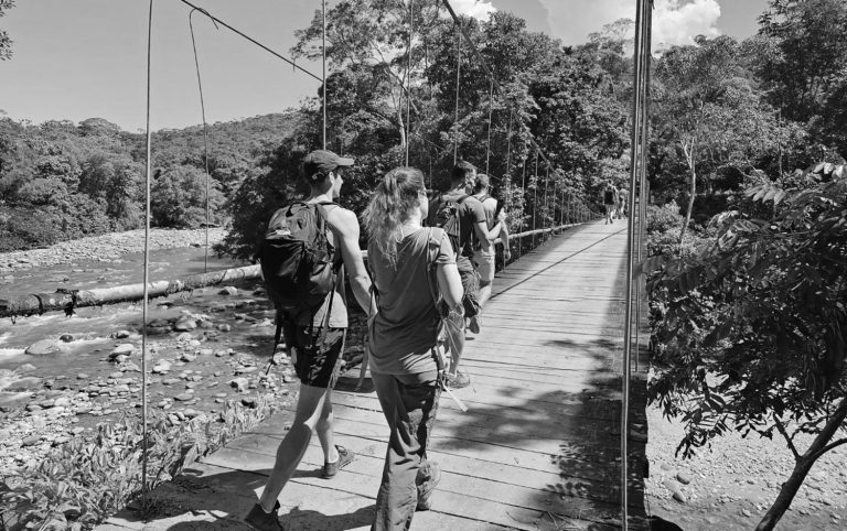 20 wanay community ayahuasca retreat center 768x482