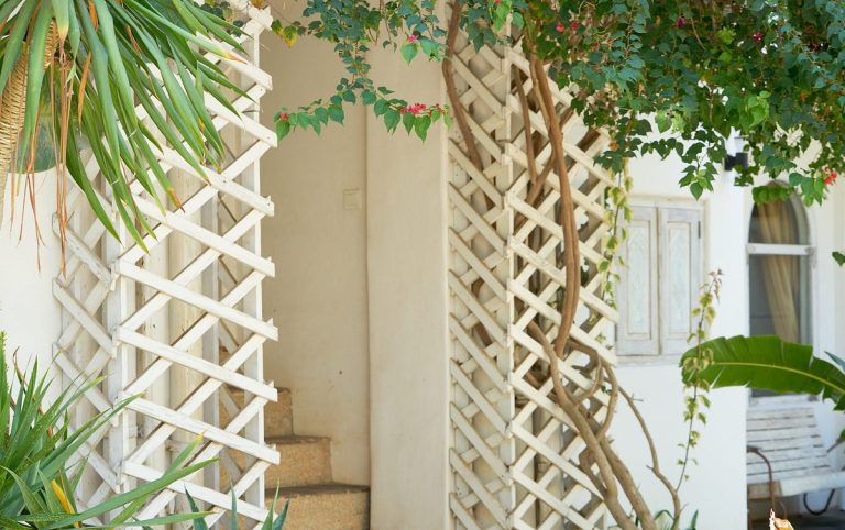 caption 36 1 768x482