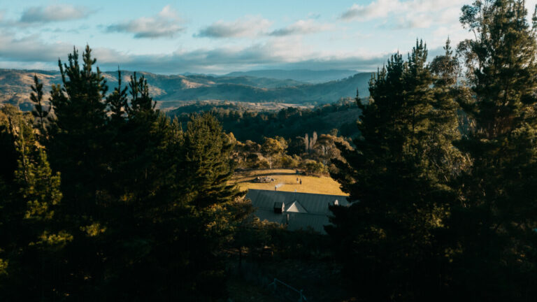 LOGANBRAE THELODGE RR 46 768x432