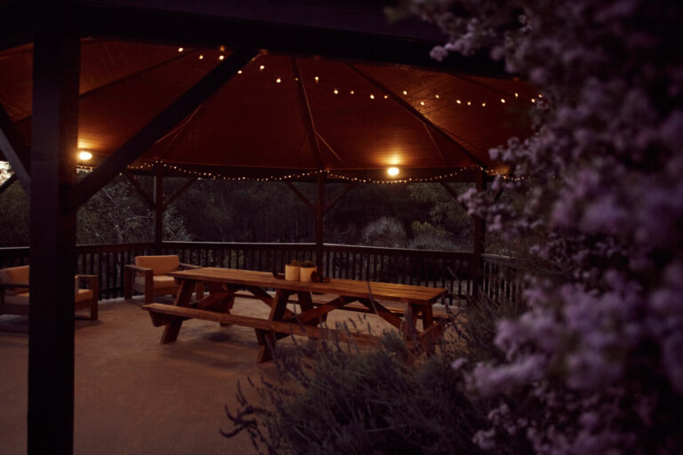 The Lodge22092462 768x512