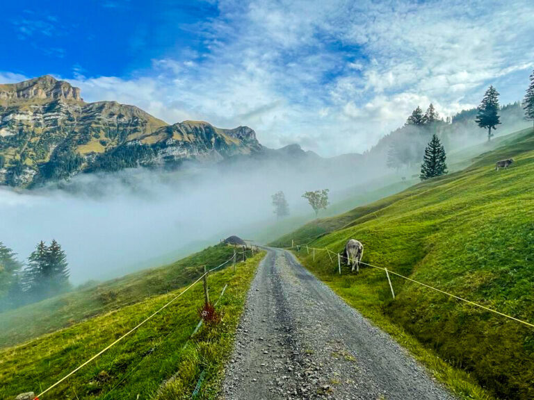 Eggberge hike mountain fog 2 768x576